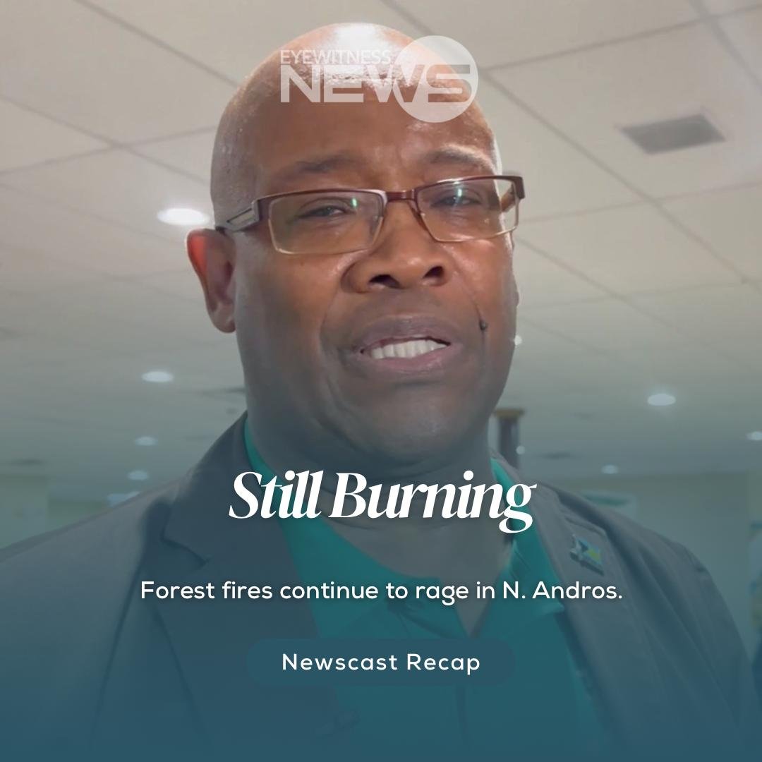 Challenges to extinguish N.Andros raging forest fire persists