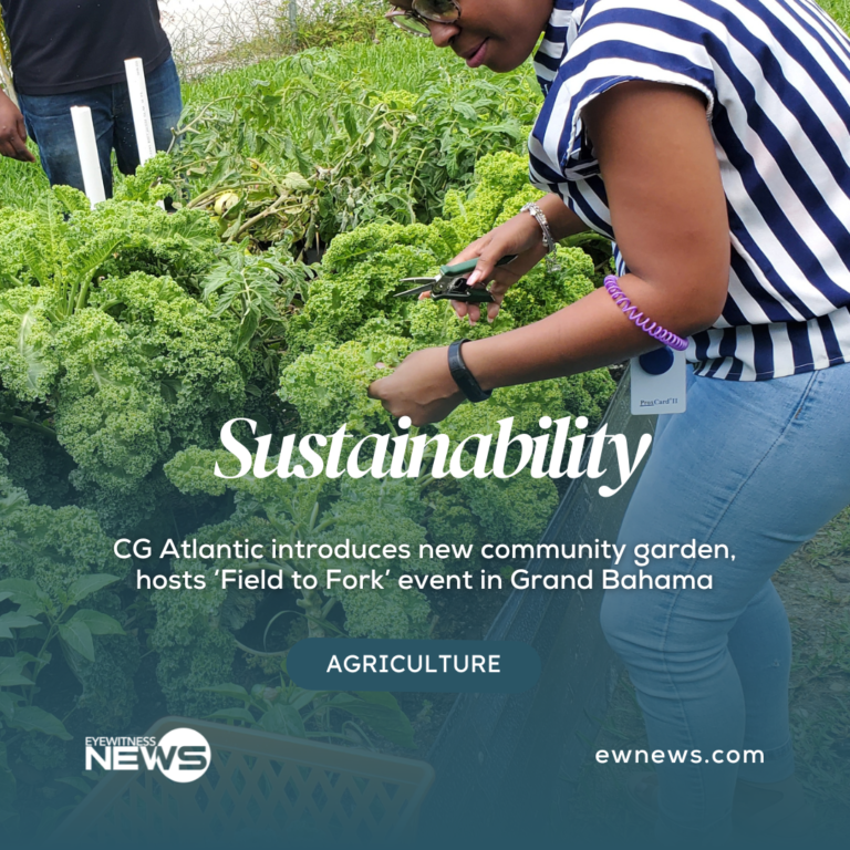 CG Atlantic introduces new community garden, hosts ‘Field to Fork’ event in Grand Bahama