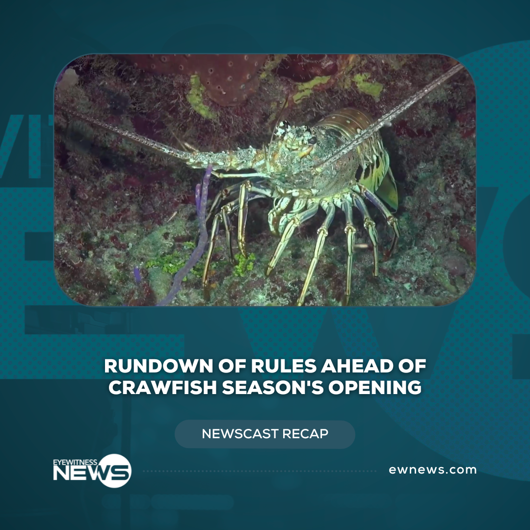 Rundown of rules ahead of crawfish season’s opening