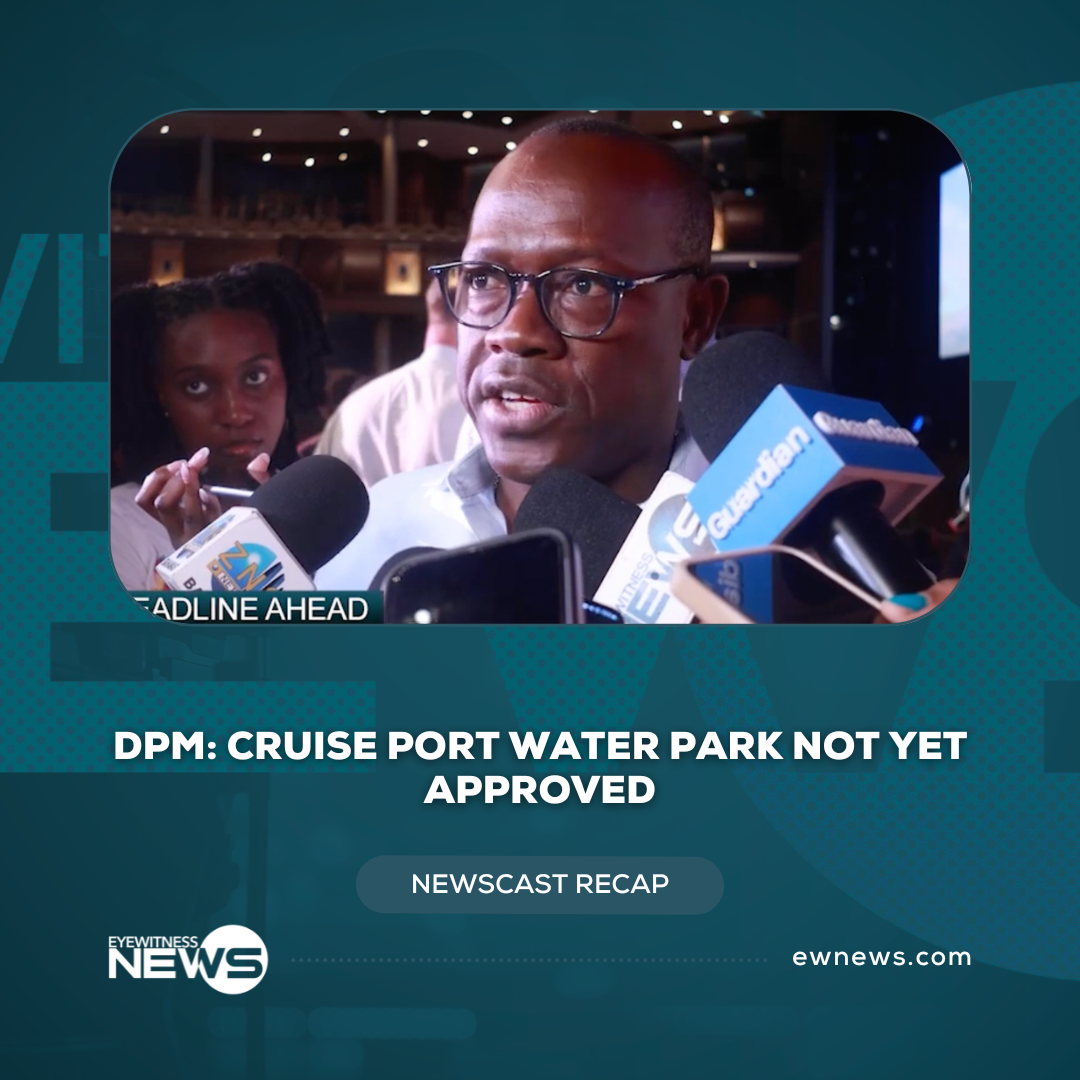 DPM: Cruise Port water park not yet approved