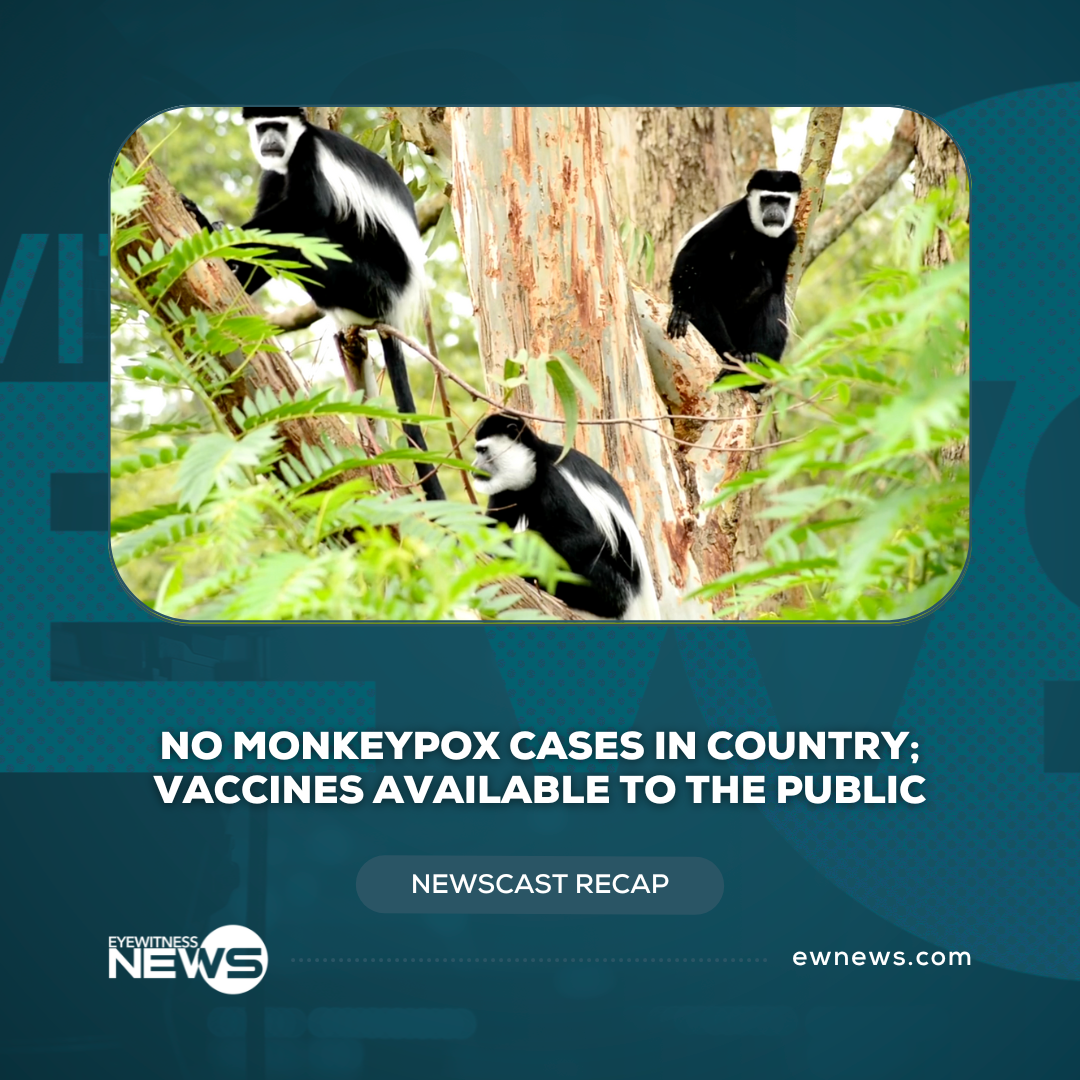 No monkeypox cases in country; vaccines available to the public