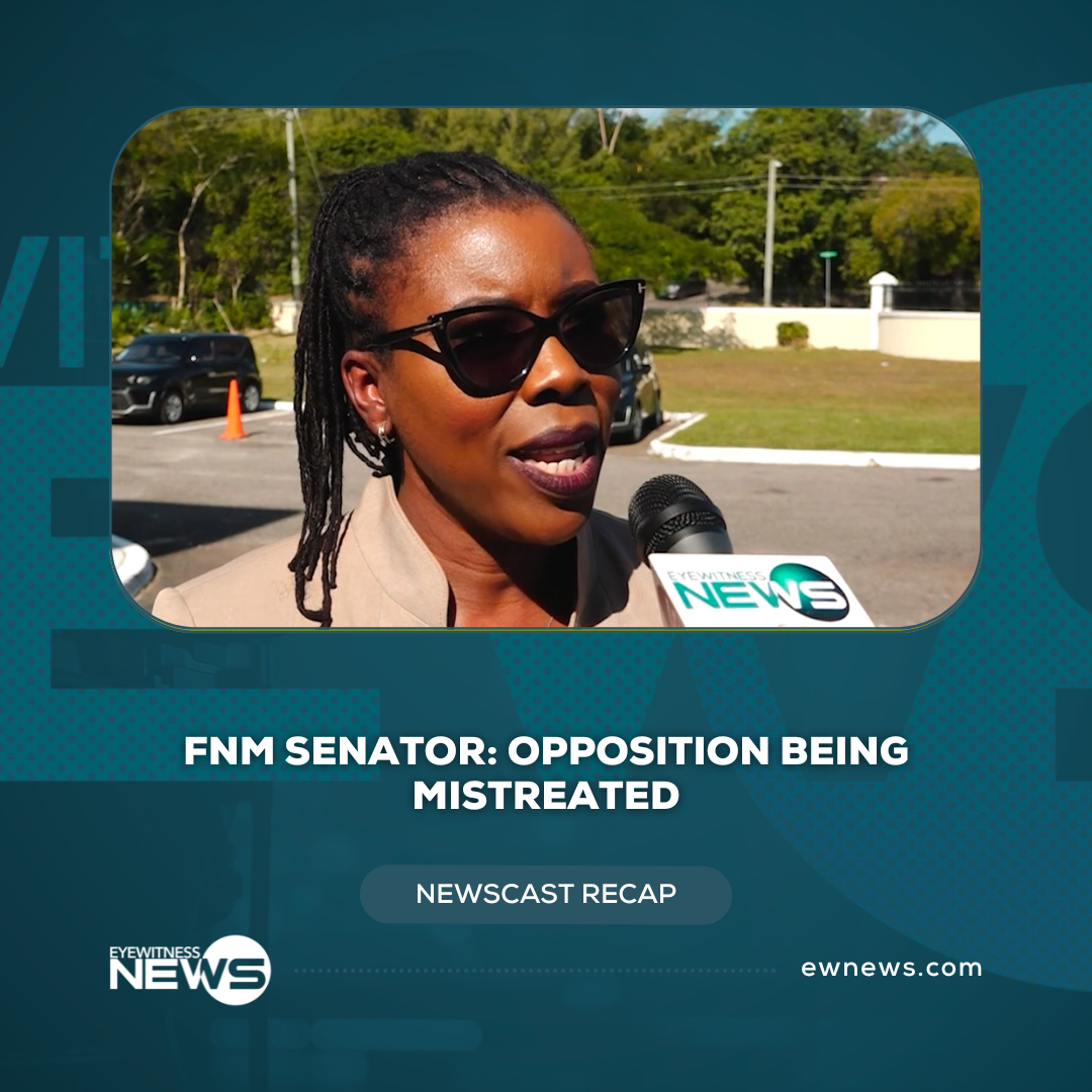 Bahamas Kidney Association treats dialysis patients to special Christmas party