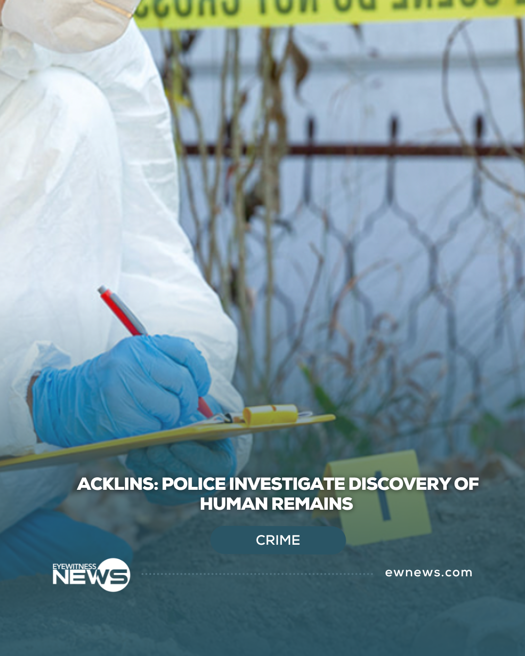 Police investigate discovery of human remains