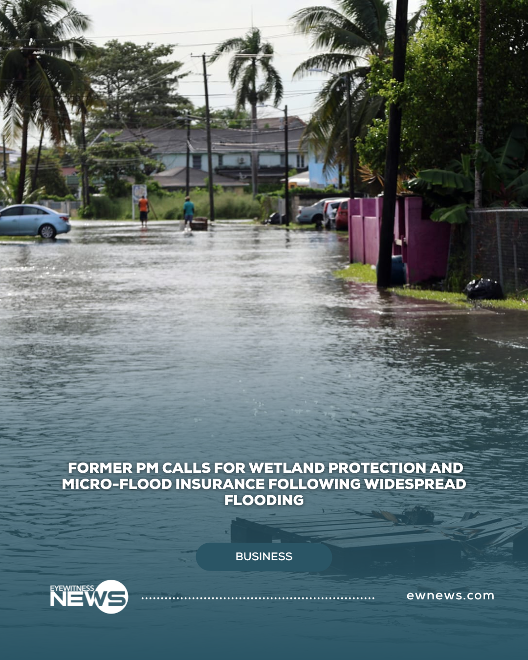 Former PM calls for wetland protection and micro-flood insurance following widespread flooding in NP