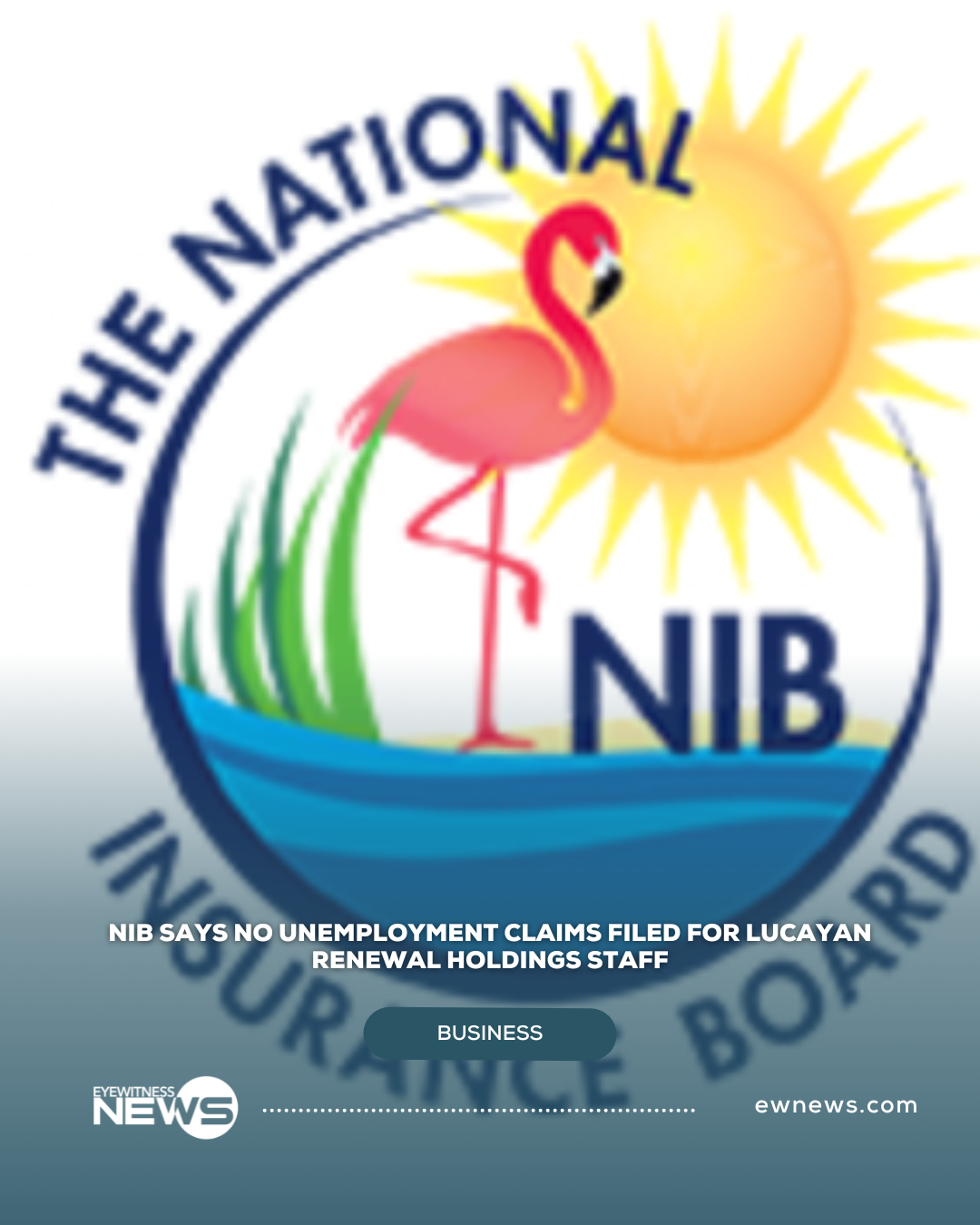 NIB says no unemployment claims filed for Lucayan Renewal Holdings staff