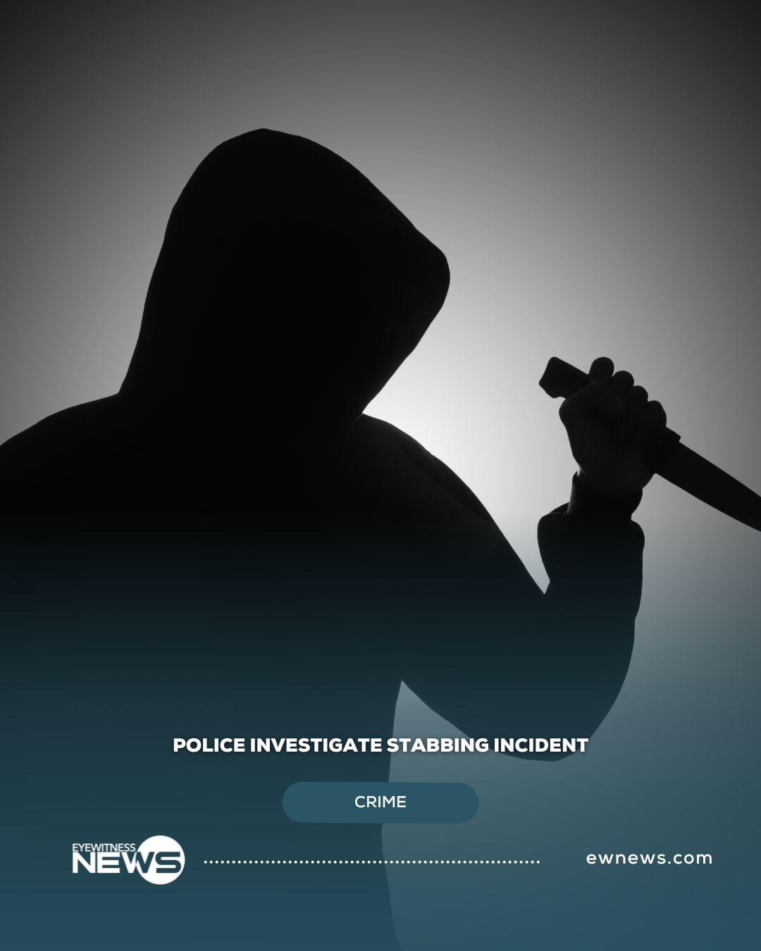 MURDER 1: Police investigate fatal stabbing