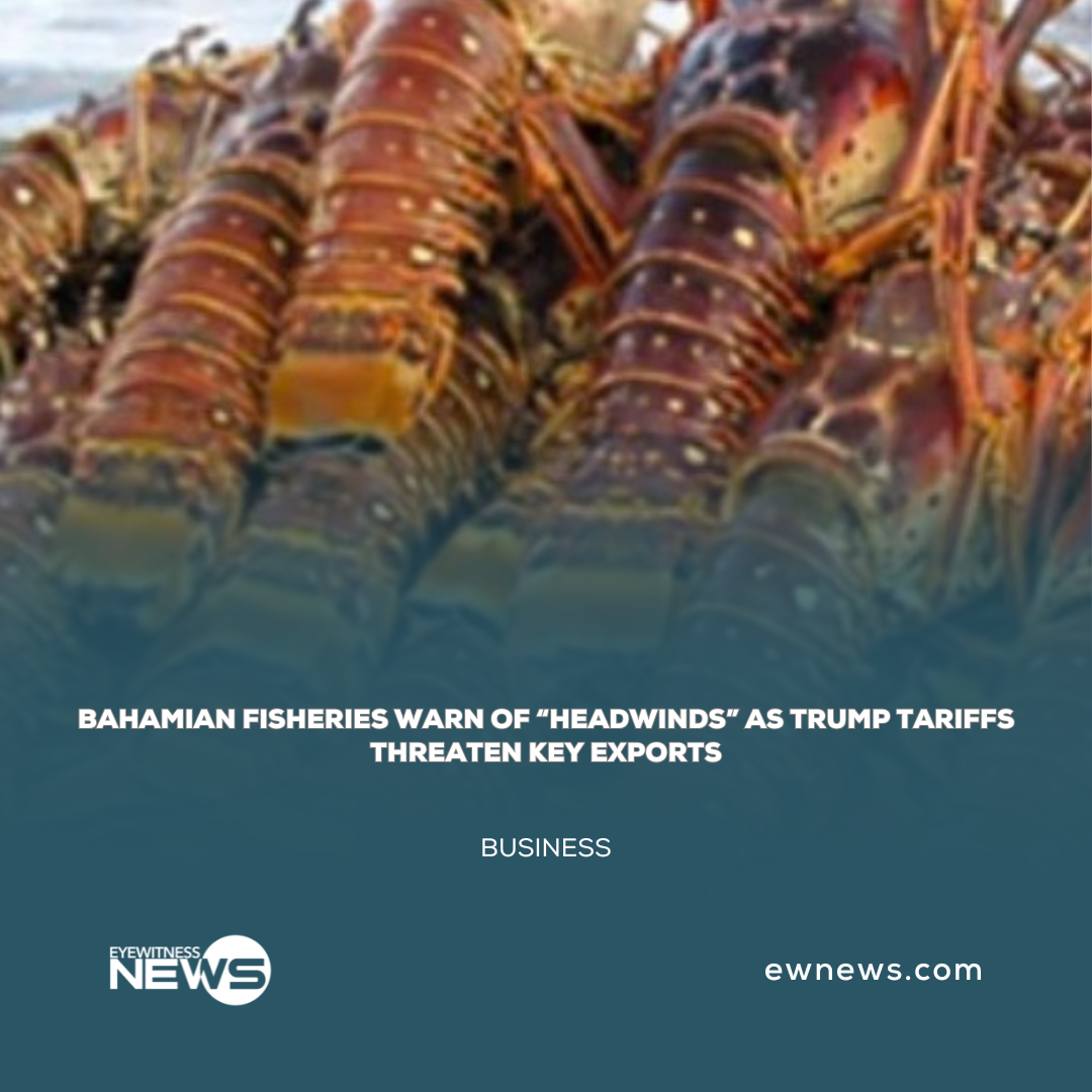 Bahamian fisheries warn of “headwinds” as Trump tariffs threaten key exports