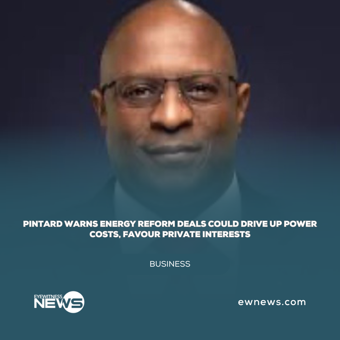 Pintard warns energy reform deals could drive up power costs, favour private interests