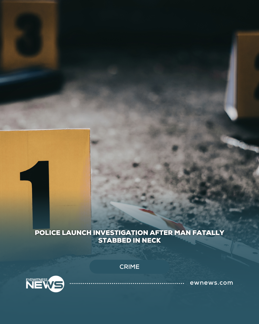 Police launch investigation after man fatally stabbed in neck