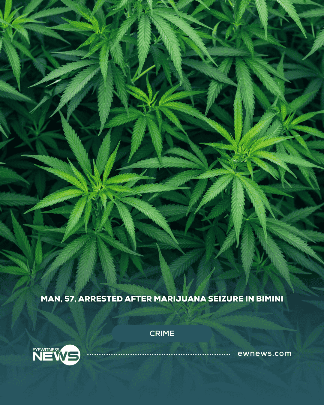 Man, 57, arrested after marijuana seizure in Bimini