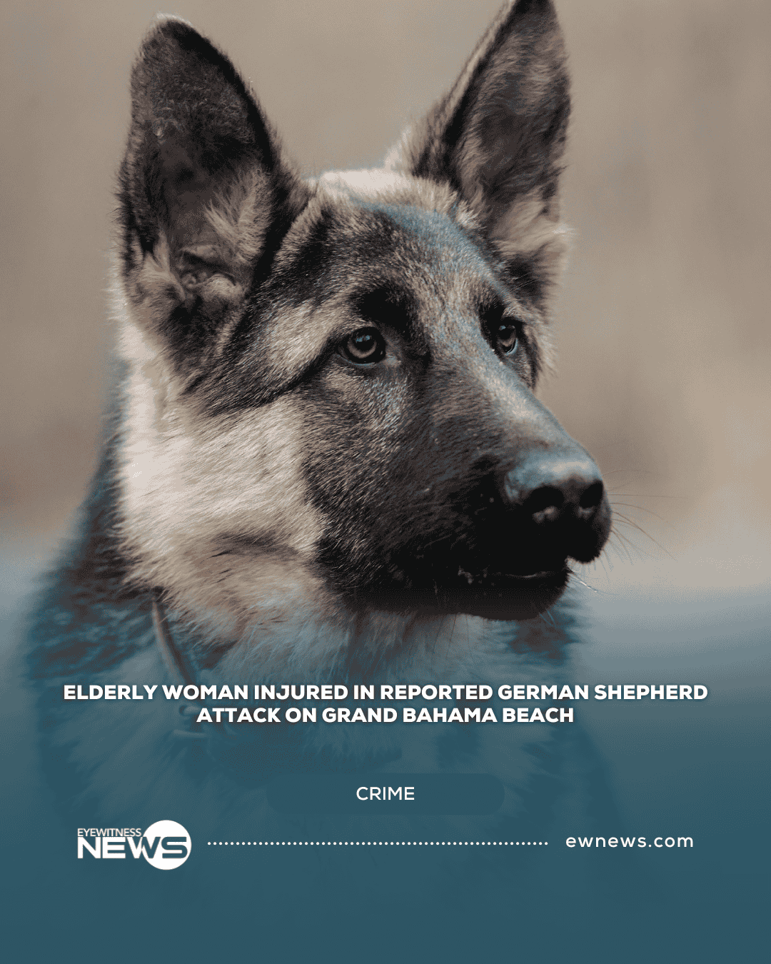 Elderly woman injured in reported German shepherd attack on Grand Bahama beach