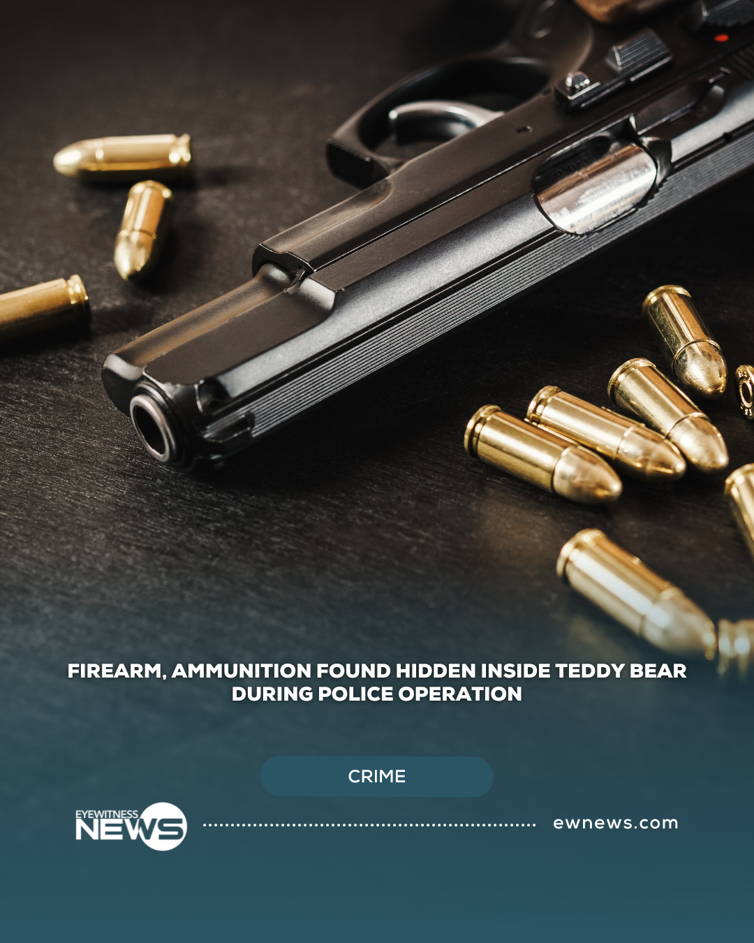 Firearm, ammunition found hidden inside teddy bear during police operation