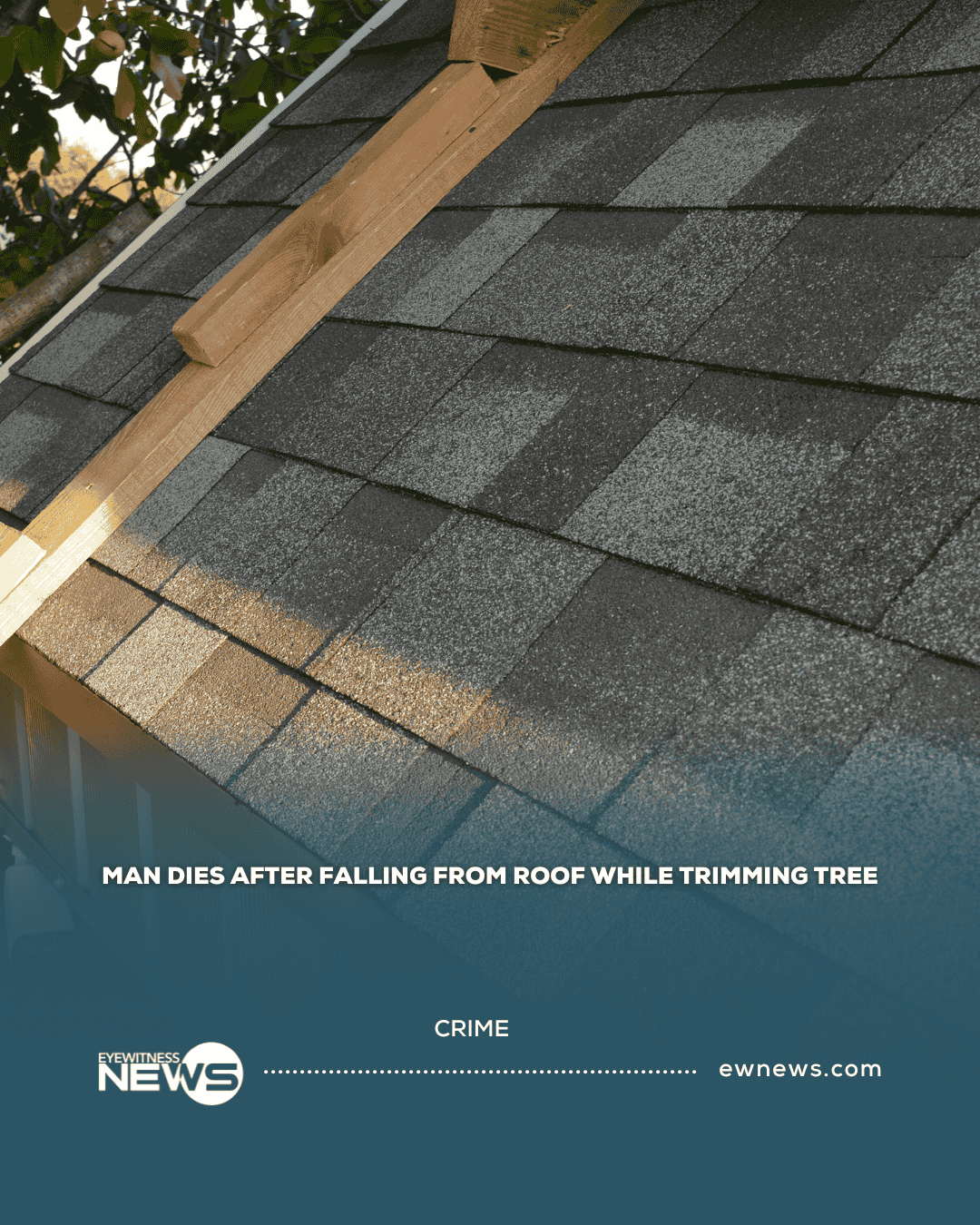 Man dies after falling from roof while trimming tree
