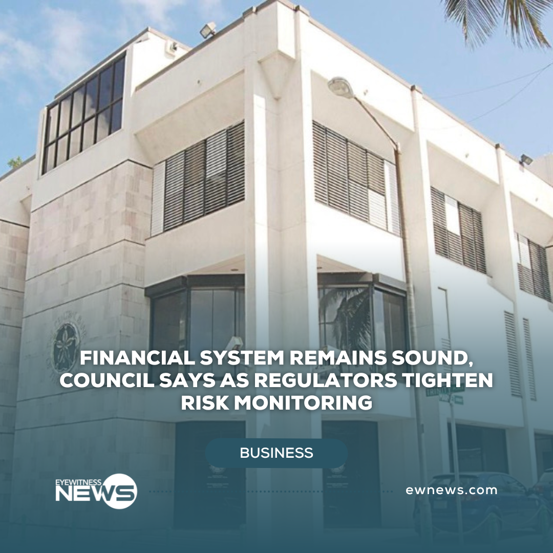 Financial system remains sound, Council says as regulators tighten risk monitoring