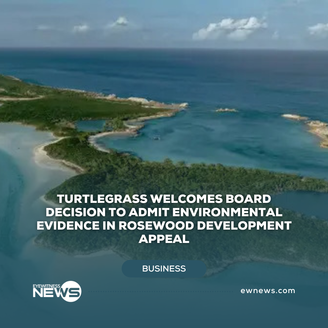 Turtlegrass welcomes board decision to admit environmental evidence in Rosewood development appeal
