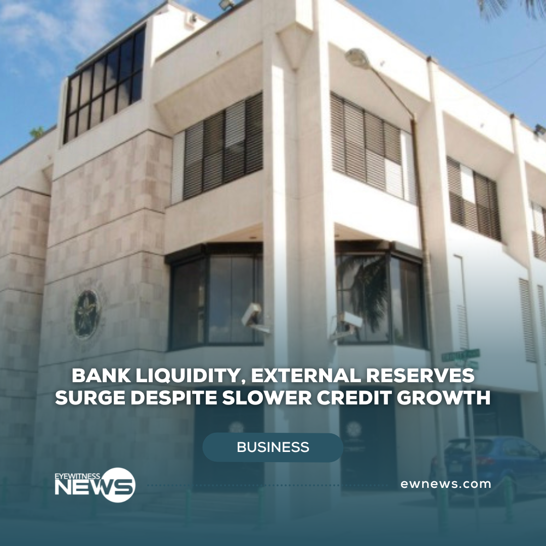 Bank liquidity, external reserves surge despite slower credit growth