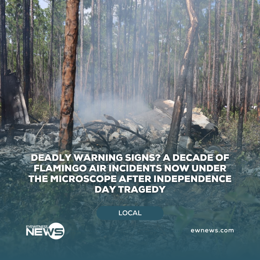 DEADLY WARNING SIGNS? A decade of Flamingo Air incidents now under the microscope after Independence Day tragedy