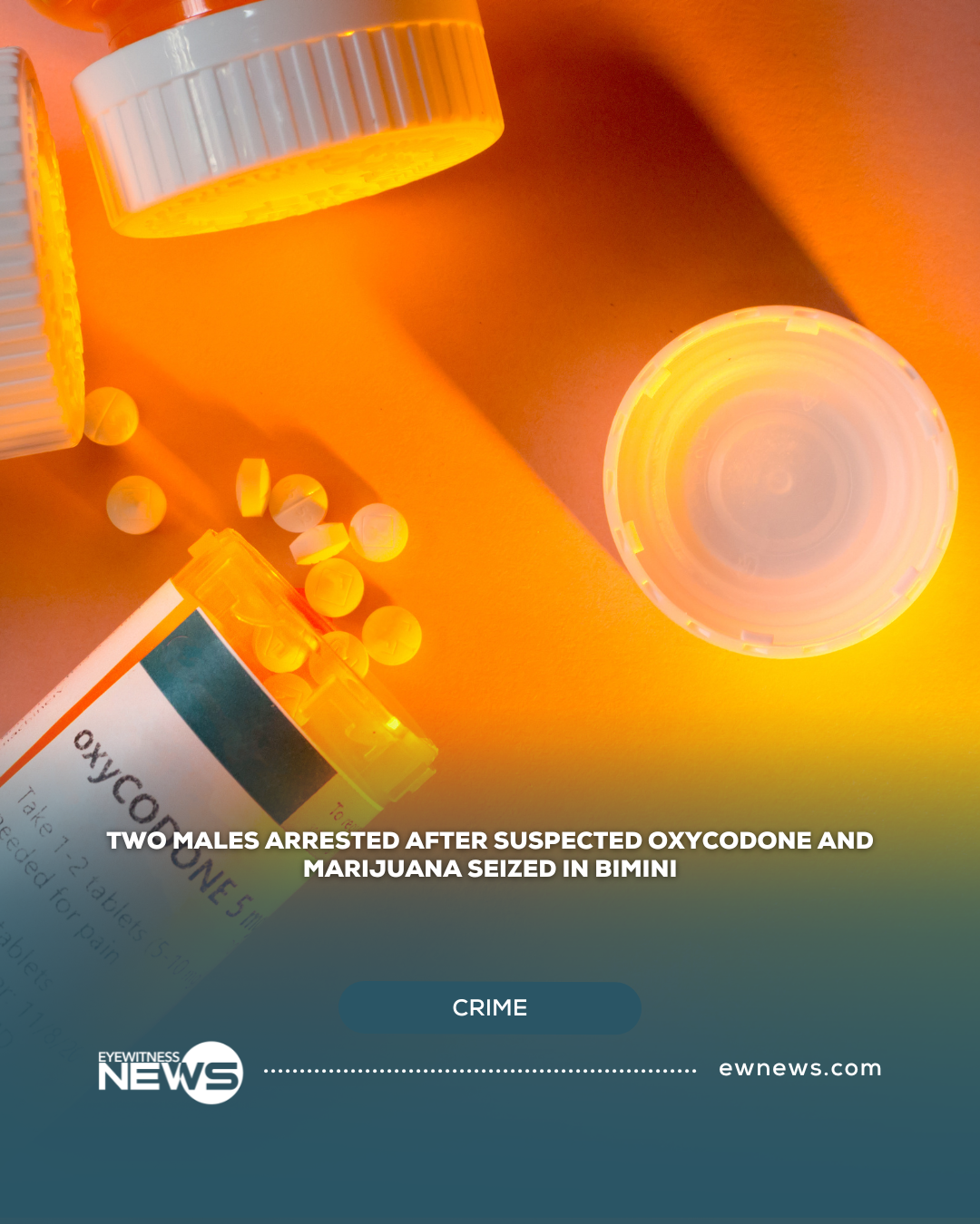 Two males arrested after suspected Oxycodone and marijuana seized in Bimini