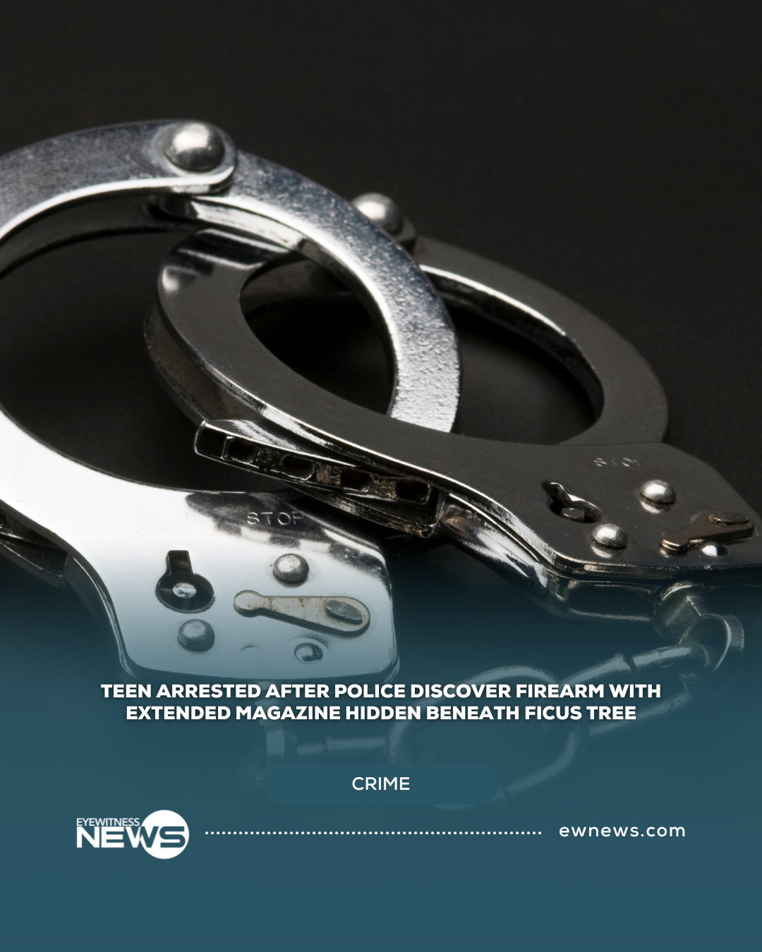 Teen arrested after police discover firearm with extended magazine hidden beneath ficus tree