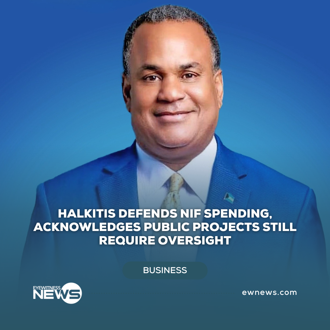 Halkitis defends NIF spending, acknowledges public projects still require oversight