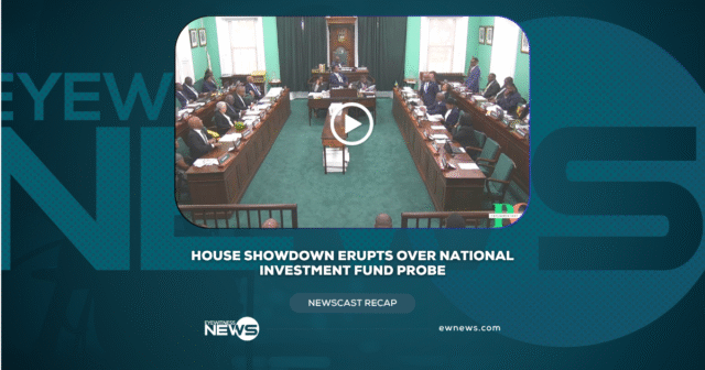 House Showdown Erupts Over National Investment Fund Probe